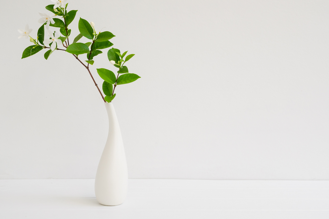7 Budget-Friendly Vase Décor Ideas for Indian Homes | Under ₹499