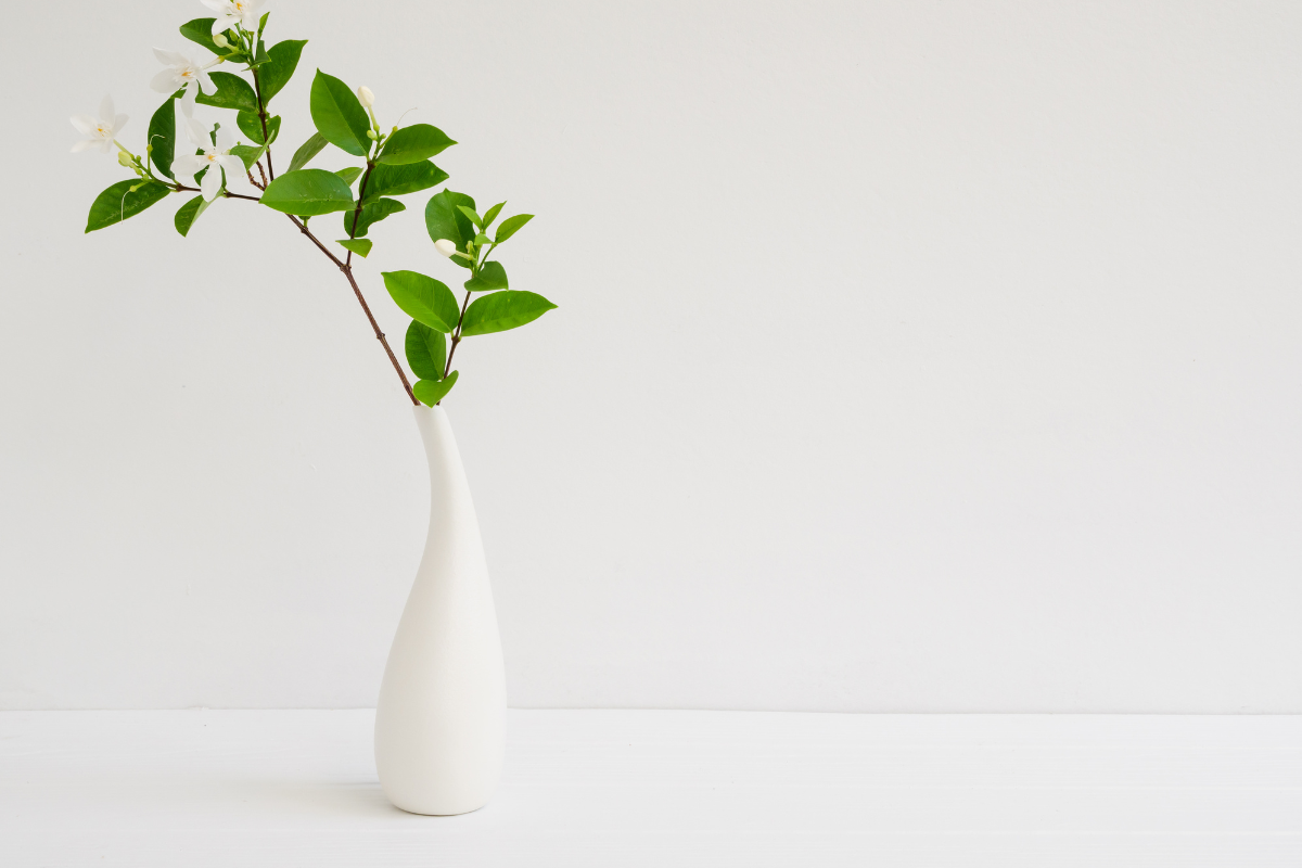 7 Budget-Friendly Vase Décor Ideas for Indian Homes | Under ₹499