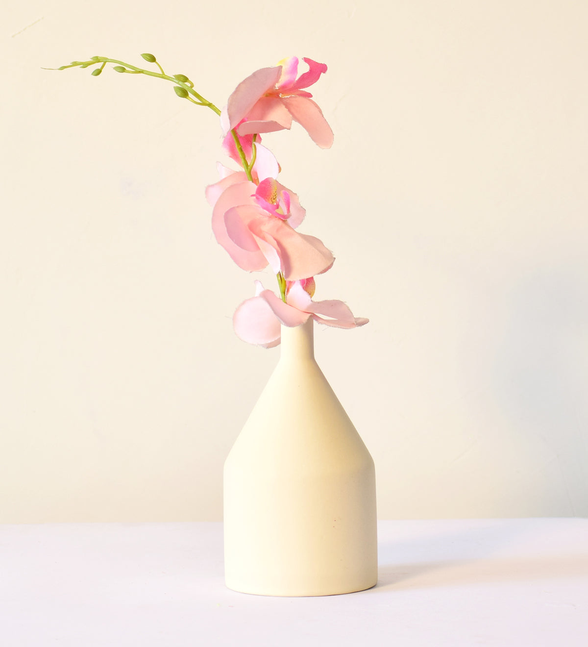 Elegant classic ceramic flower vase with red flowers for modern home décor