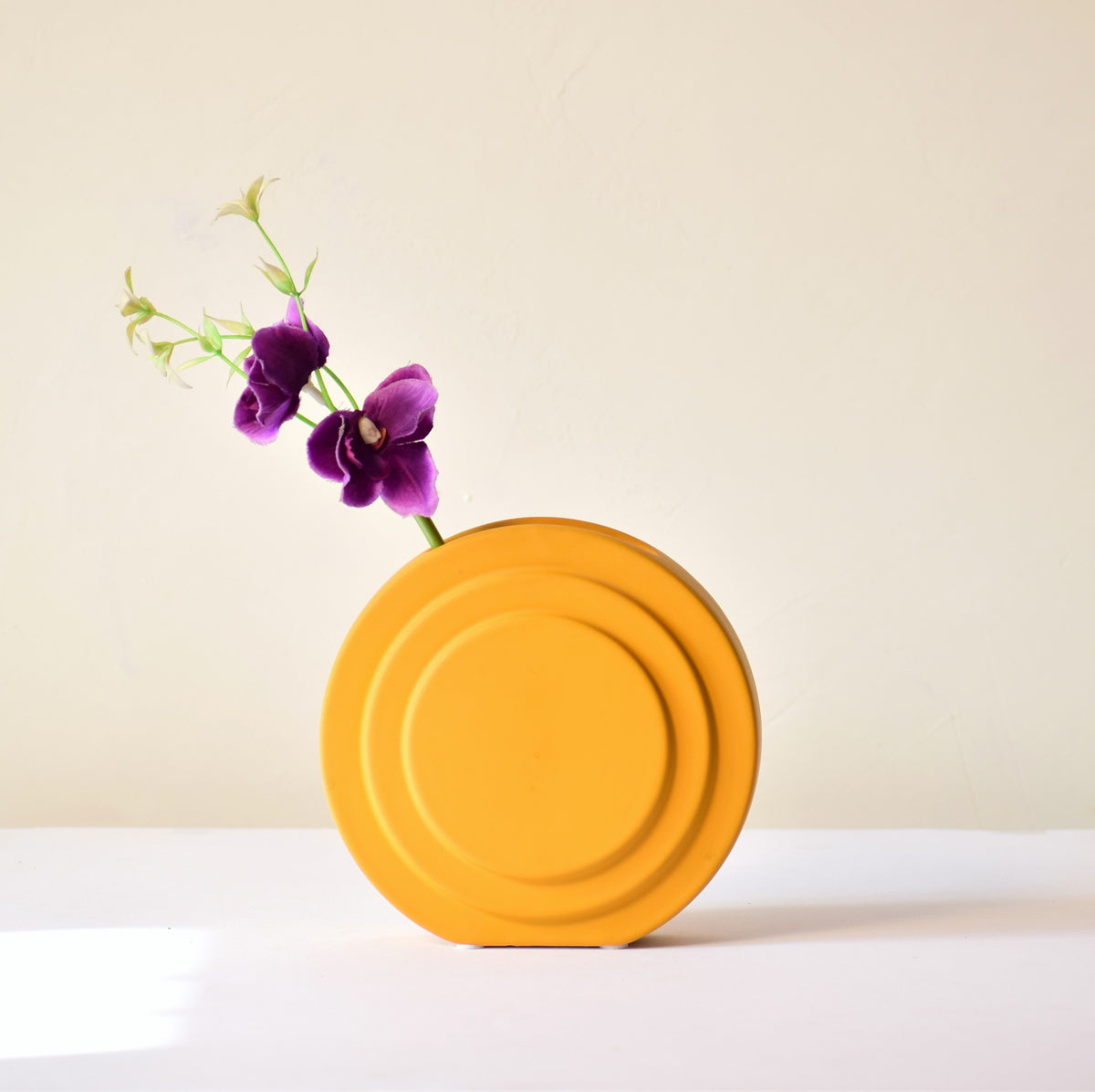 Aesthetic matte texture vase for minimalist home interiors