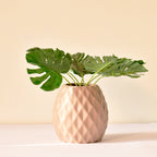 Delilah Cross modern ceramic vase with matte finish styled for luxury home décor with dried flowers in Indian interior setting