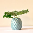 Delilah Cross modern ceramic vase with matte finish styled for luxury home décor with dried flowers in Indian interior setting