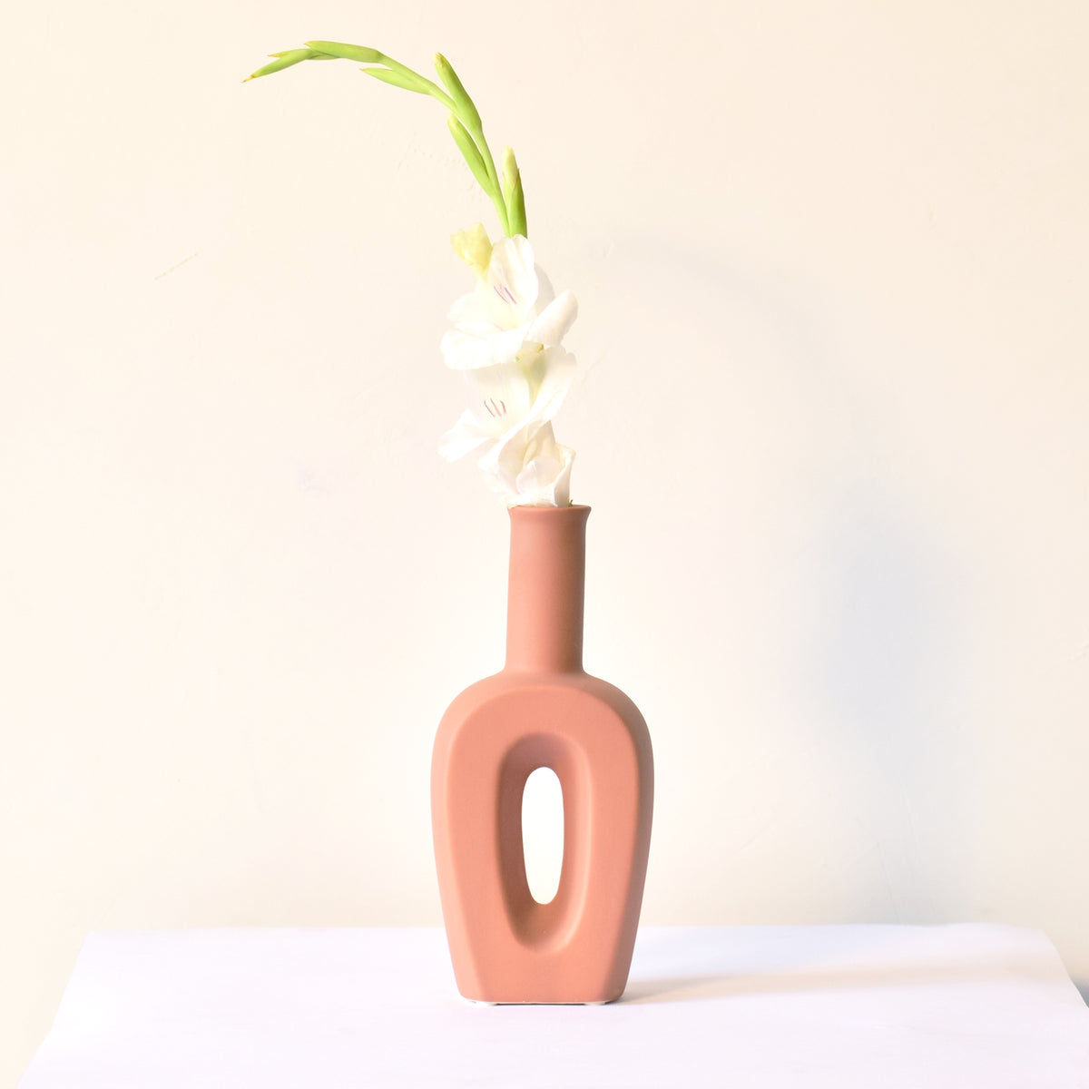 Modern hollow linear ceramic flower vase styled with pampas grass in a minimalist Indian living room interior décor setup