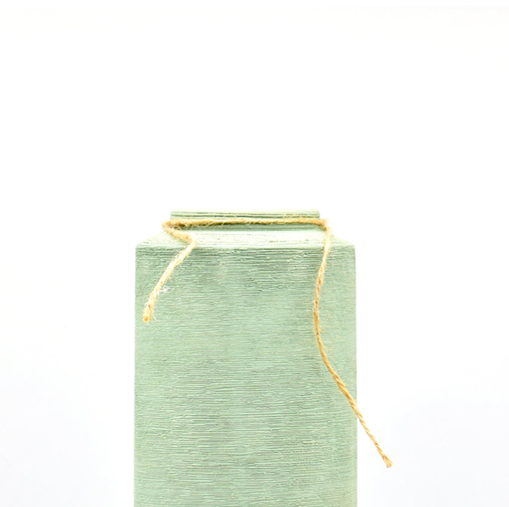 Luxury modern ceramic flower vase styled in a contemporary living room with elegant home décor, minimalist interiors, and premium decorative accents.