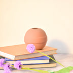 Modern ceramic Pokémon ball vase with baby breath flowers on wooden desk in aesthetic home interior