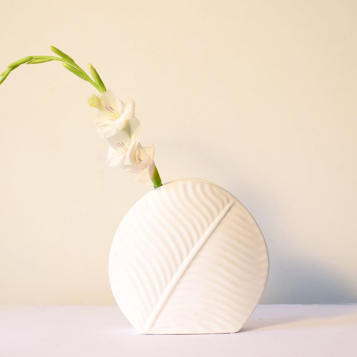 White leaf ceramic flower vase styled with fresh blooms in a modern luxury living room featuring elegant contemporary décor.
